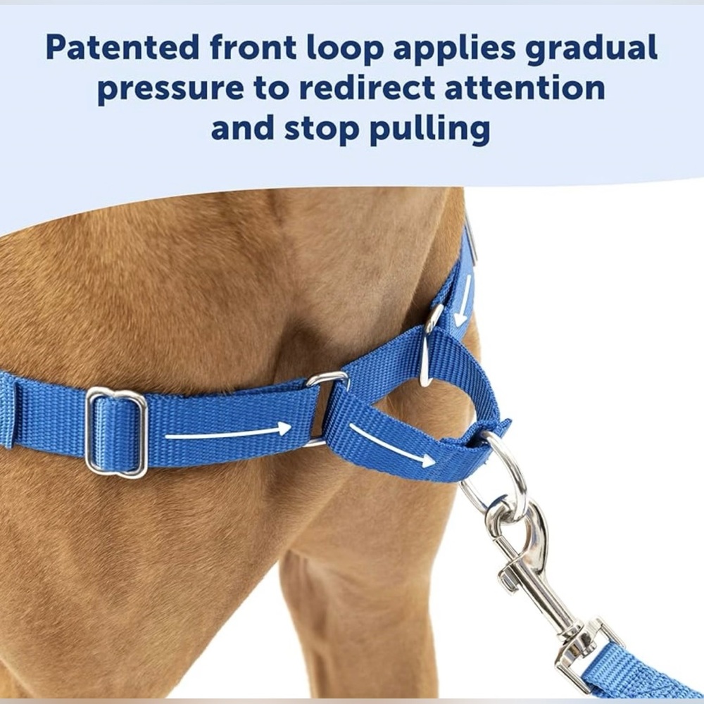Dog Harness - Picture 6 of 8